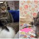 Senior Cat Finds Love And Care Again After Losing The Only Home He Knew