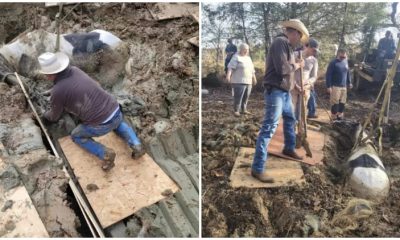 Stuck in Mud! Heroes Rush to Rescue Someone in Trouble After Urgent Call