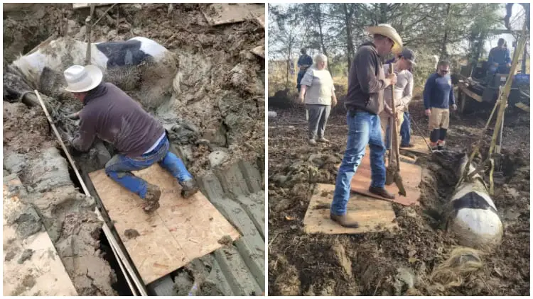 Stuck in Mud! Heroes Rush to Rescue Someone in Trouble After Urgent Call