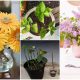 Stunning Cut Flower Plants That Can Regrow from Your Bouquet