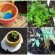 Top 10 Gardening Hacks to Save Money, Time, and Effort