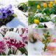 Toughest Flower Types That Bloom Beautiful on Frost Days