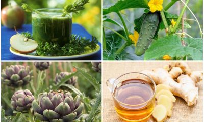 12 Common Vegetables, Fruits, and Herbs for Weight Loss Process