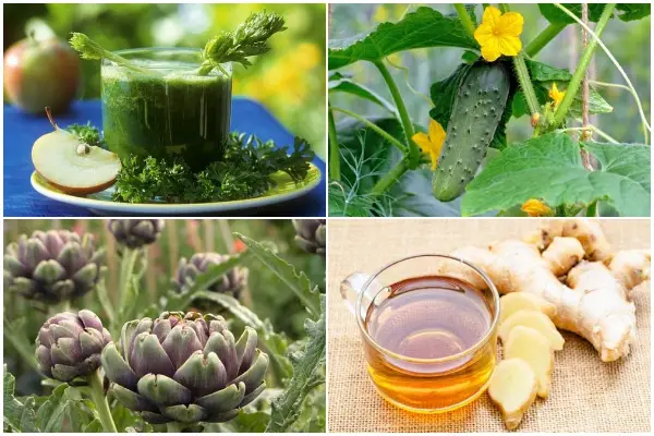 12 Common Vegetables, Fruits, and Herbs for Weight Loss Process