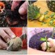 12 Planting Hacks for a Free Vegetable Garden