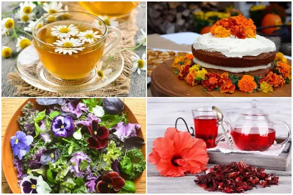 13 Best Edible Flowers for Health Benefits and Food Garnish