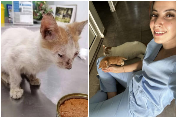 Kind Clinic Cat Comforts Tiny Patient in Heartwarming Gesture