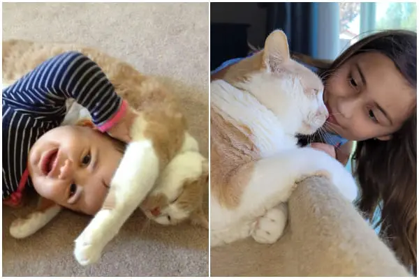 Little Girl Reunites Her Cat After 5 Years Apart