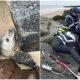 Photographer Sees a Distressed Face Seeking Help on the Beach