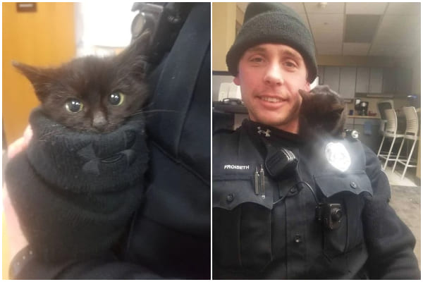 Police Officer Saves Kitten Stuck in Snow, Giving It a New Lease on Life