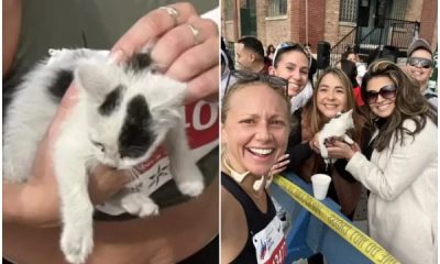 Runner Pauses Chicago Marathon to Save Little Kitten