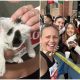 Runner Pauses Chicago Marathon to Save Little Kitten