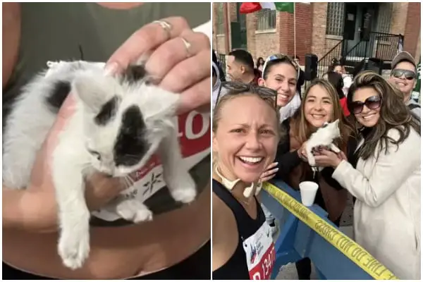 Runner Pauses Chicago Marathon to Save Little Kitten