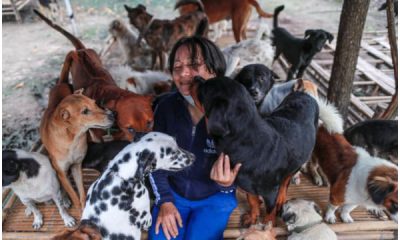 Stranded Dogs at Shelter Hope for a Good Meal, Touching Hearts Globally