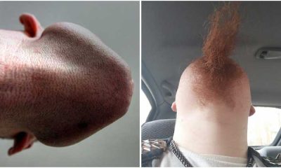 15+ Funny Photos Of Men's Beards When Looking Straight Up
