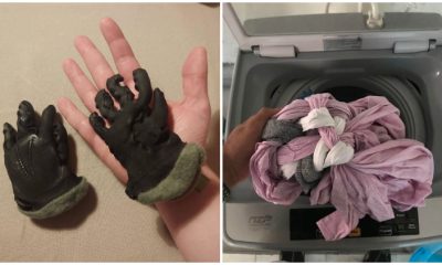 20 Hilarious Laundry Accidents People Caused