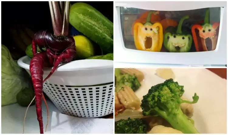 20+ Strange Vegetable Photos That Look Like Something Else And They Are So Funny