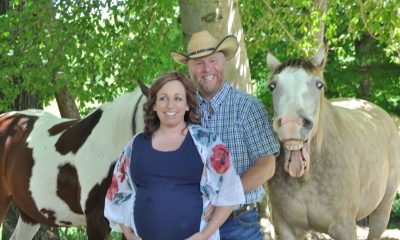 Cheerful And Energetic Horse “Ruins” Maternity Shoot Of His Human With Biggest Smile Ever