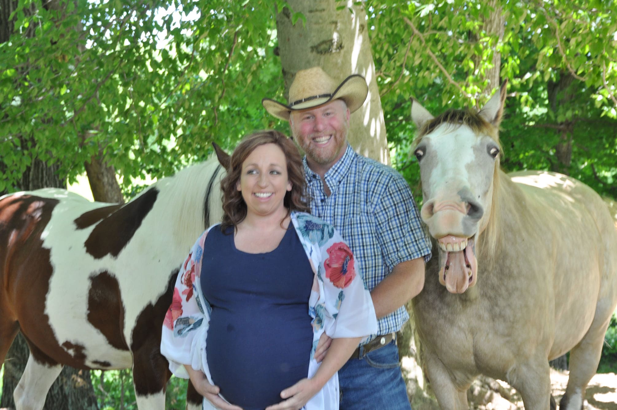 Cheerful And Energetic Horse “Ruins” Maternity Shoot Of His Human With Biggest Smile Ever