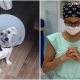 Formerly Blind Dog Is So Happy To See His Dad’s Face Again After Surgery