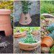 10 Clever DIY Broken Clay Pots for Garden Craft Projects