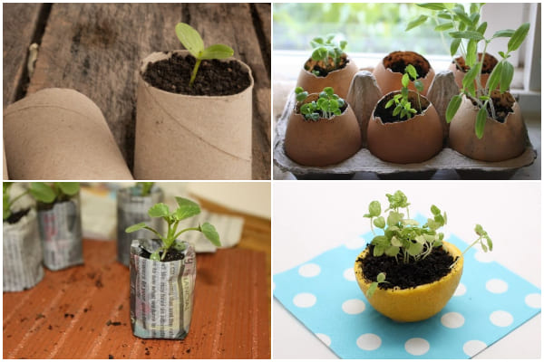 14 DIY Seed Starter Pots from Household Items