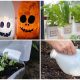 19 Clever Uses for Plastic Milk Jugs in Your Home and Garden