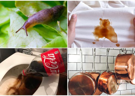 8 Amazing Coca-Cola Uses