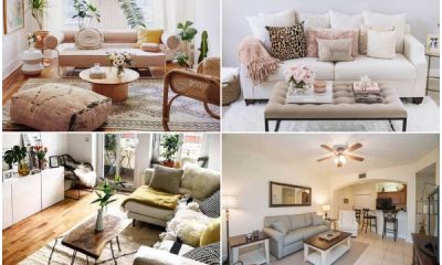 19 Small Apartment Living Room Ideas