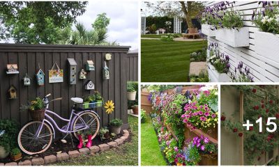 20 Beautiful and Easy Garden Fence Decorations