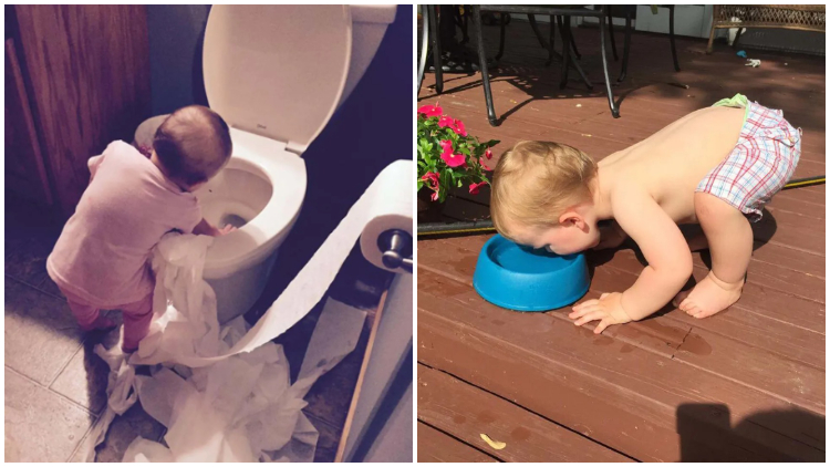 22 "Perfect" Photos That Describe Life with Toddlers, Full of Fun
