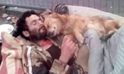 This Homeless Man Sleeps With His Dog In His Arms A Four Paws Angel Who Never Lets Him Down
