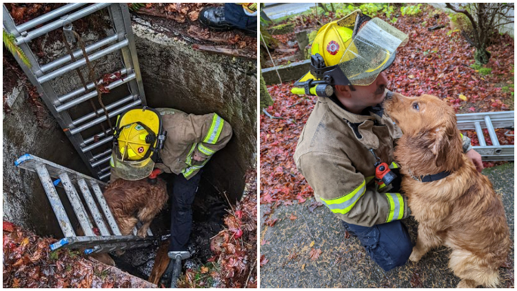 Firefighters Rescue Dog That Fell Into Well