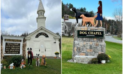 This Special Chapel Honors Our Faithful Dogs