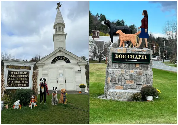 This Special Chapel Honors Our Faithful Dogs