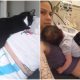 Cat Protects Her Tiny Human Since Before Birth
