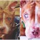 Pit Bull Sees Foster Parents for First Time After Incredible Eye Surgery