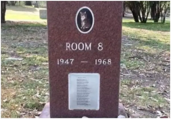 The Purr-fectly Heartwarming Story Behind a Cat's Gravestone